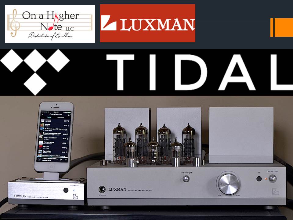 Tidal Luxman SQ N10 D 100r