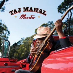 taj mahal maestro