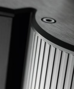 Gryphon Antileon EVO mono power amplifier detail