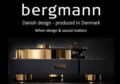 Website Bergman Branding Image 1